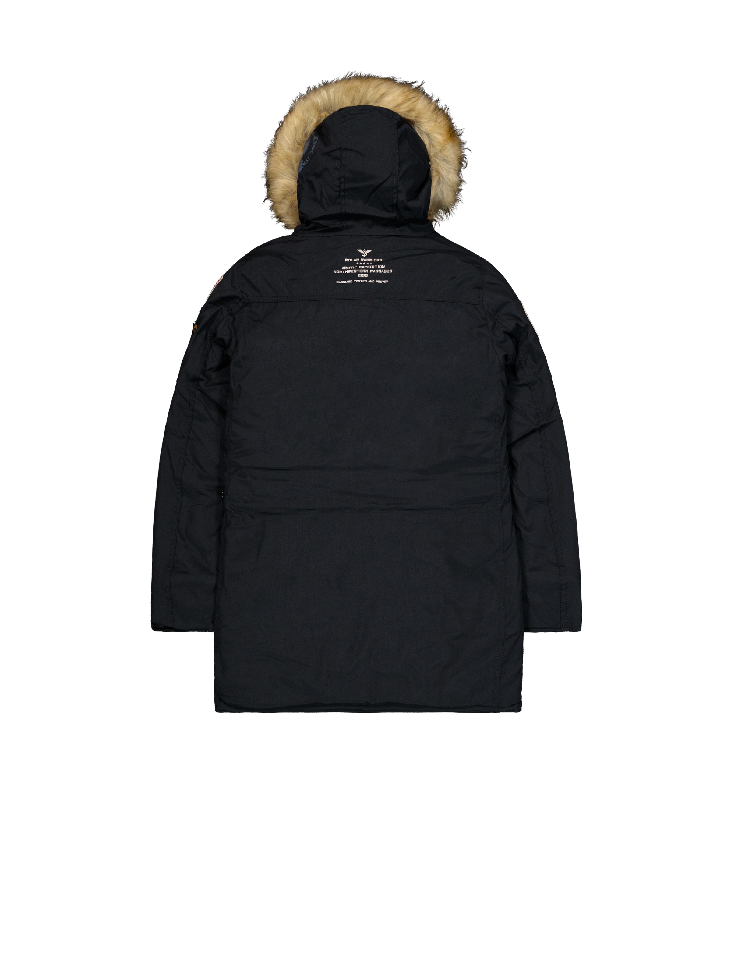ALPHA INDUSTRIES Winter Jacket 'Polar' in Black