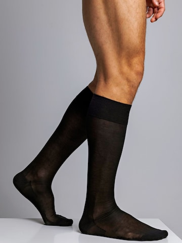 zd ZERO DEFECTS Kniestrümpfe 'Soy fiber knee socks' in Schwarz