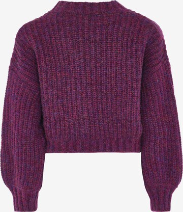 purpurinė DreiMaster Vintage Megztinis