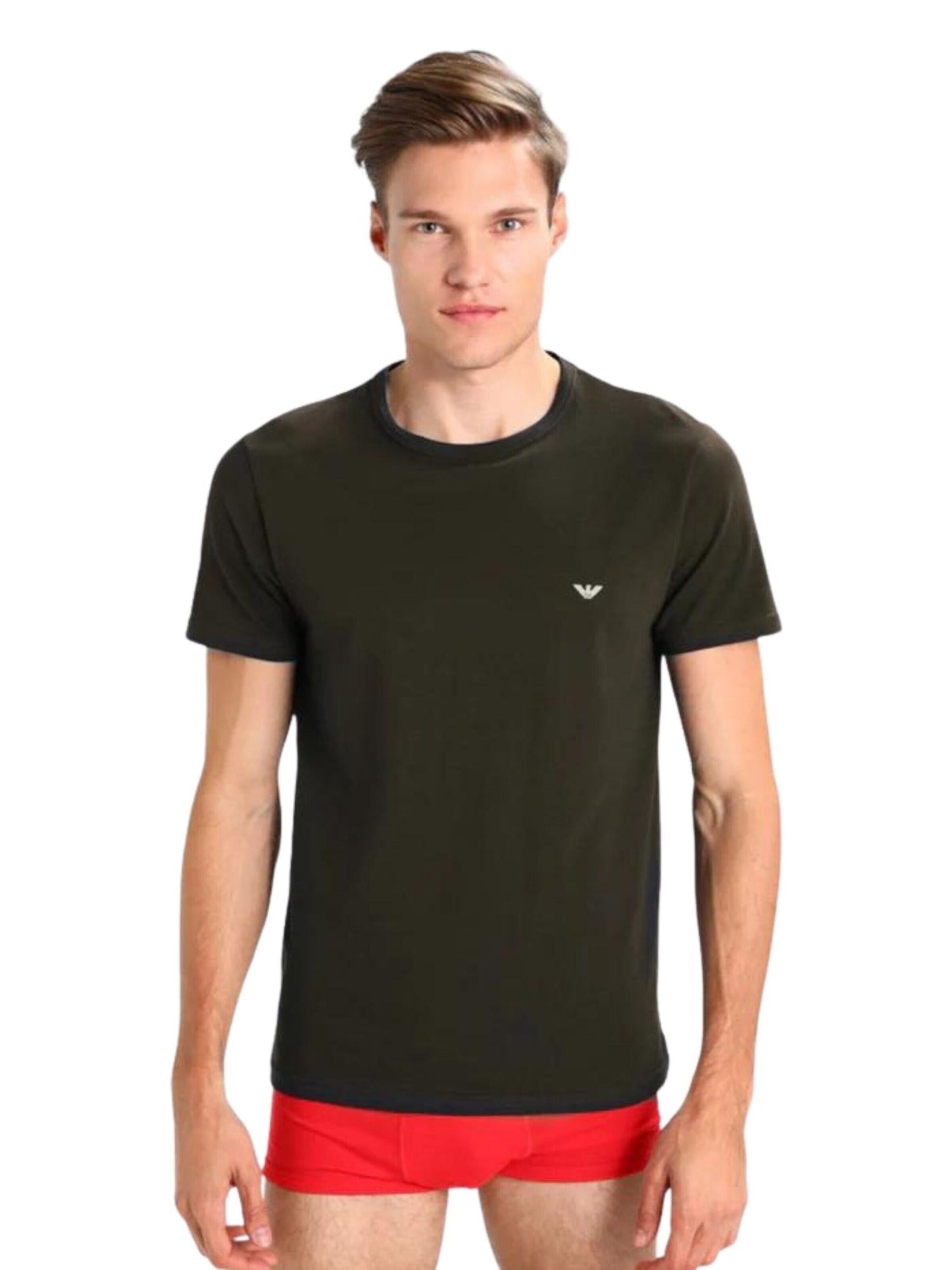 Emporio Armani Shirt 'Underwear 2-Pack T-Shirts' in Zwart