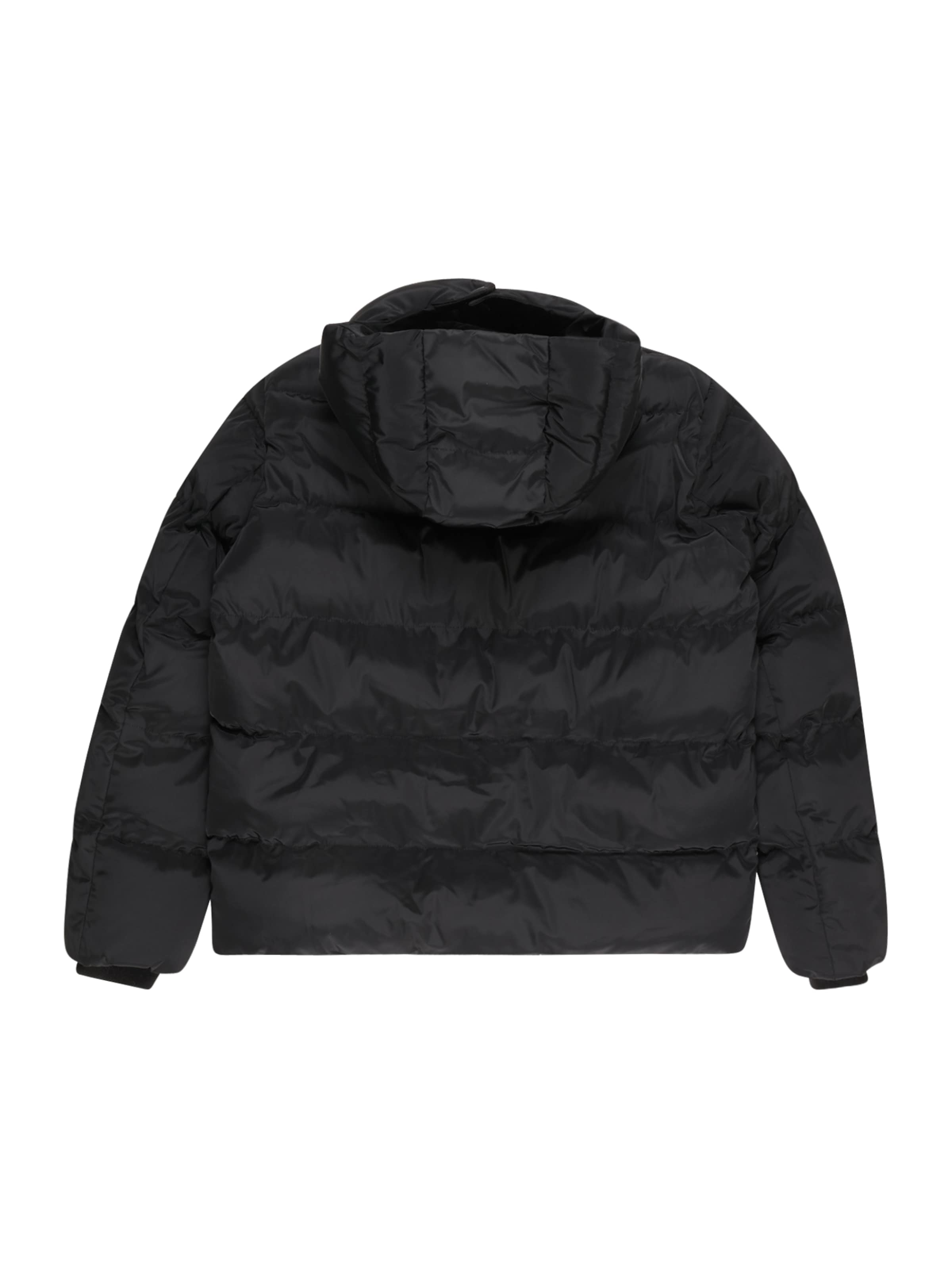 Urban Classics Winter jacket in Black