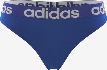ADIDAS SPORTSWEAR Thong ' Realasting Cotton ' in Blue