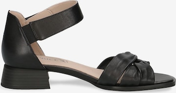 CAPRICE Sandals in Black