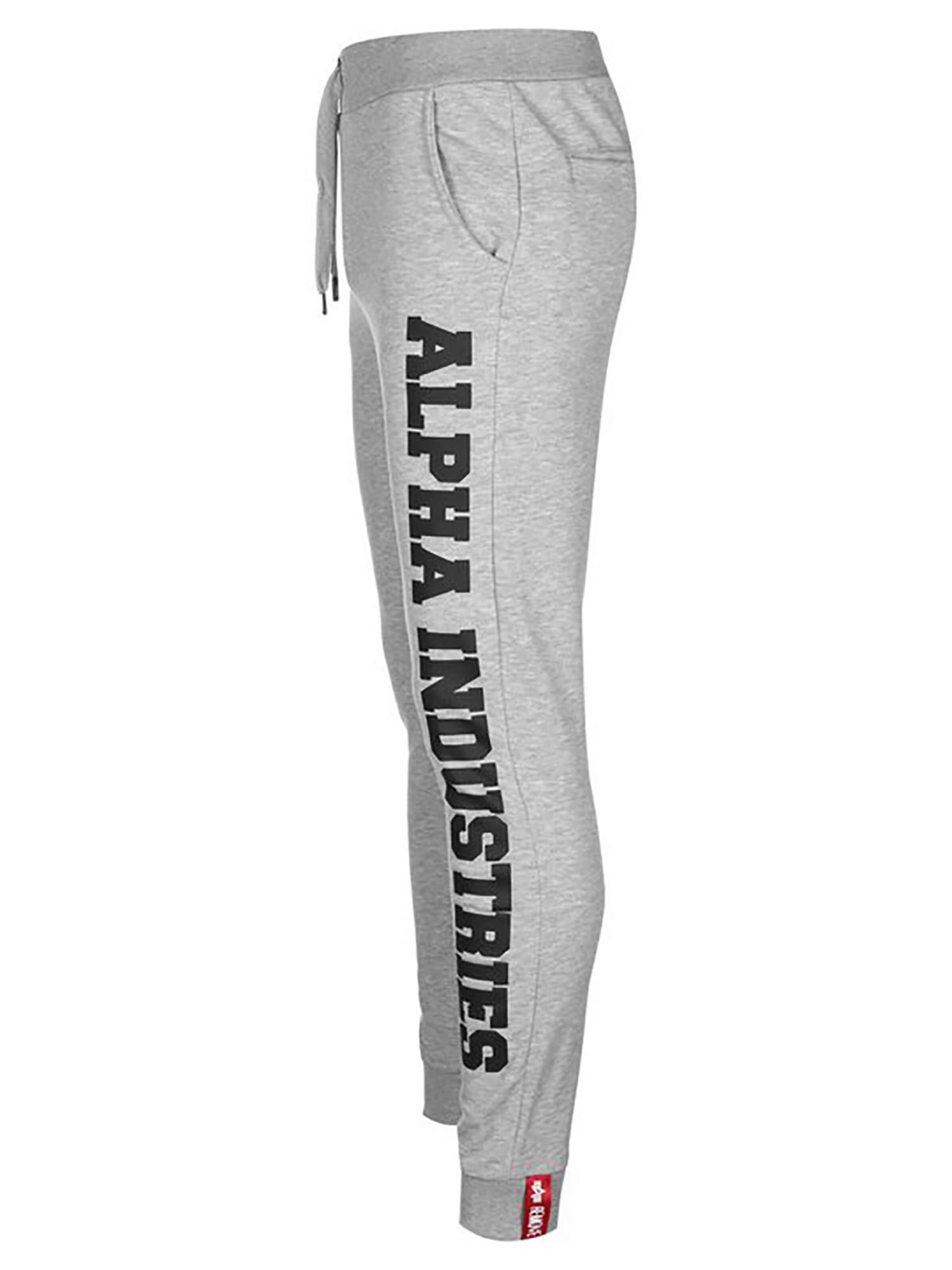 ALPHA INDUSTRIES Regular Pants 'Big Letters' in Grey