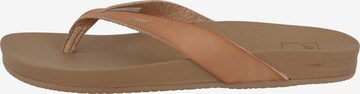 REEF T-Bar Sandals 'Cushion' in Brown