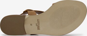 LOTTUSSE Sandals in Brown
