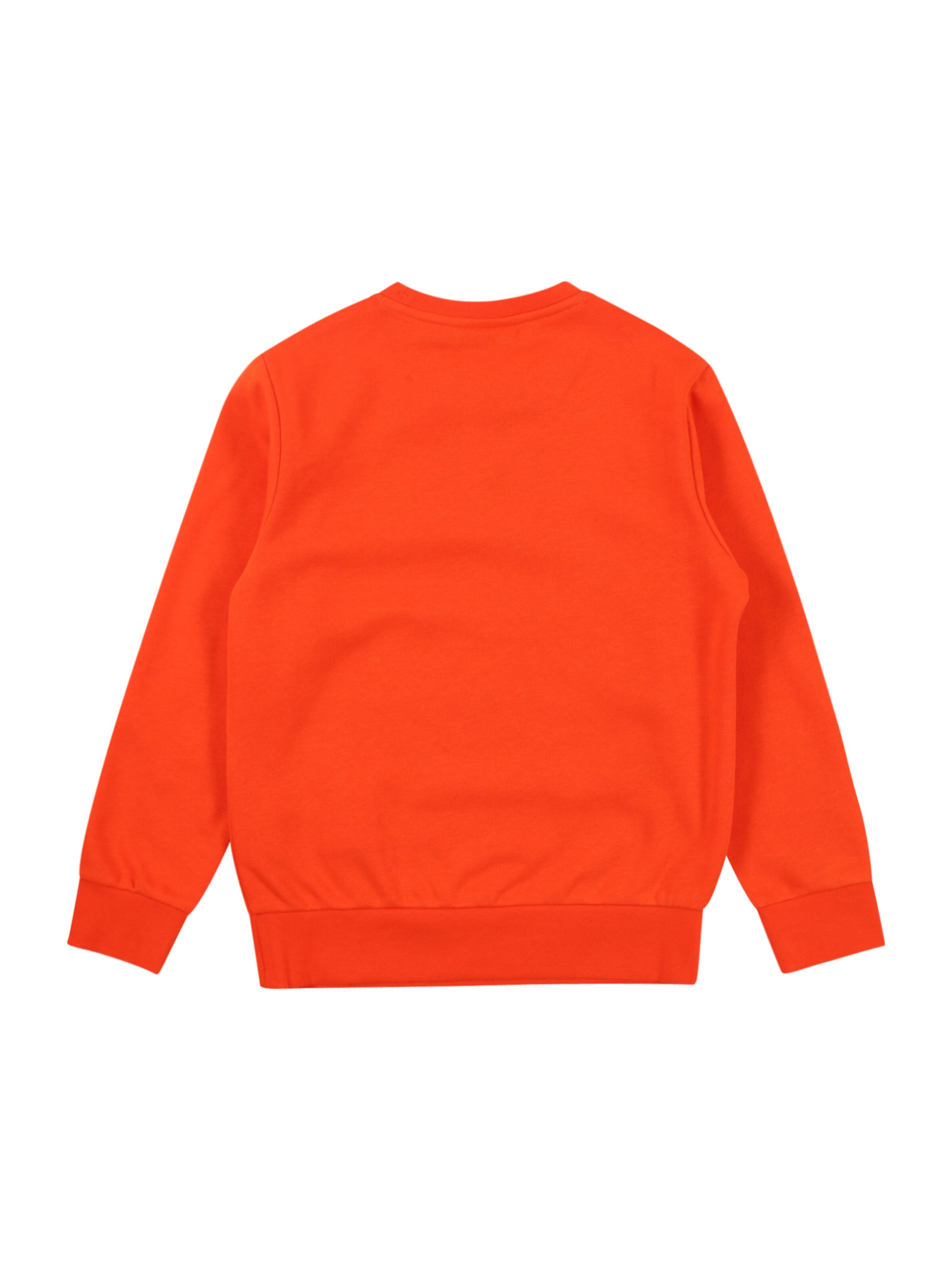 Champion Authentic Athletic Apparel Collegepaita värissä oranssi