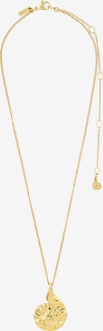 Pilgrim Ketju 'HAZE' värissä kulta: etupuoli