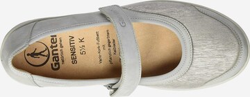 Ganter Ballet Flats in Grey