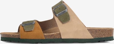 Šlepetės 'Ilithyie 2' iš Bayton, spalva – smėlio spalva / ruda / rusvai žalia, Prekių apžvalga