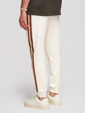 Ombre Regular Hose in Beige