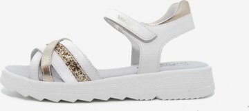 Nero Giardini Sandals 'Porto Bianco T.Bril' in White