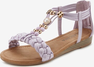 LASCANA Sandalen met riem in Lila: voorkant