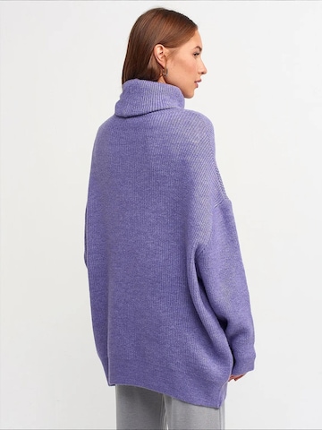 Dilvin - Pullover 'Pullover' em roxo: frente