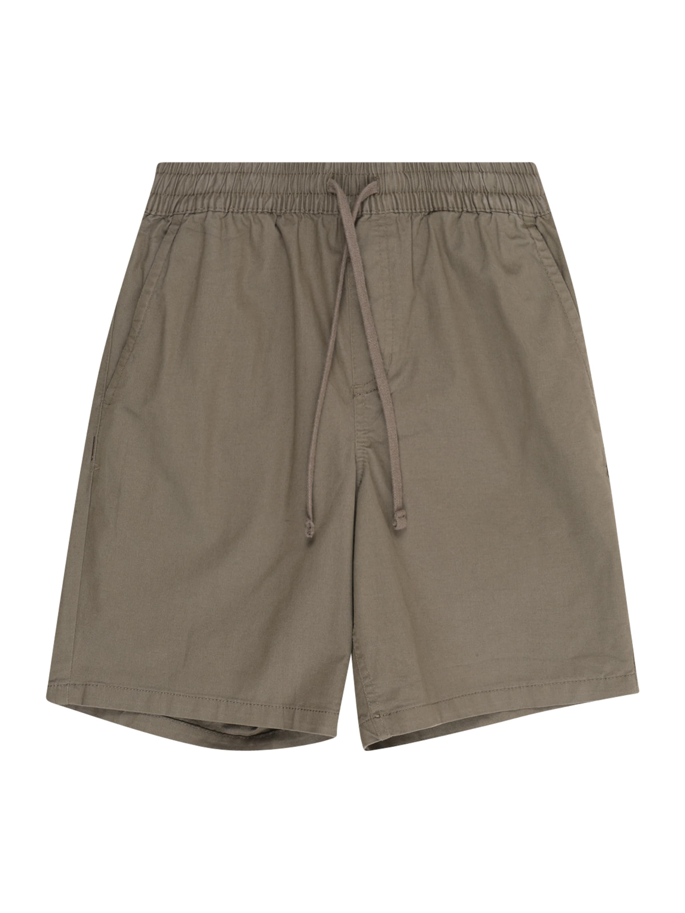 pelēks VANS Standarta Bikses 'RANGE': no priekšpuses