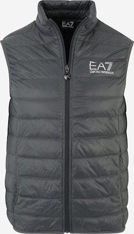 EA7 Emporio Armani - Chaleco en gris: frente