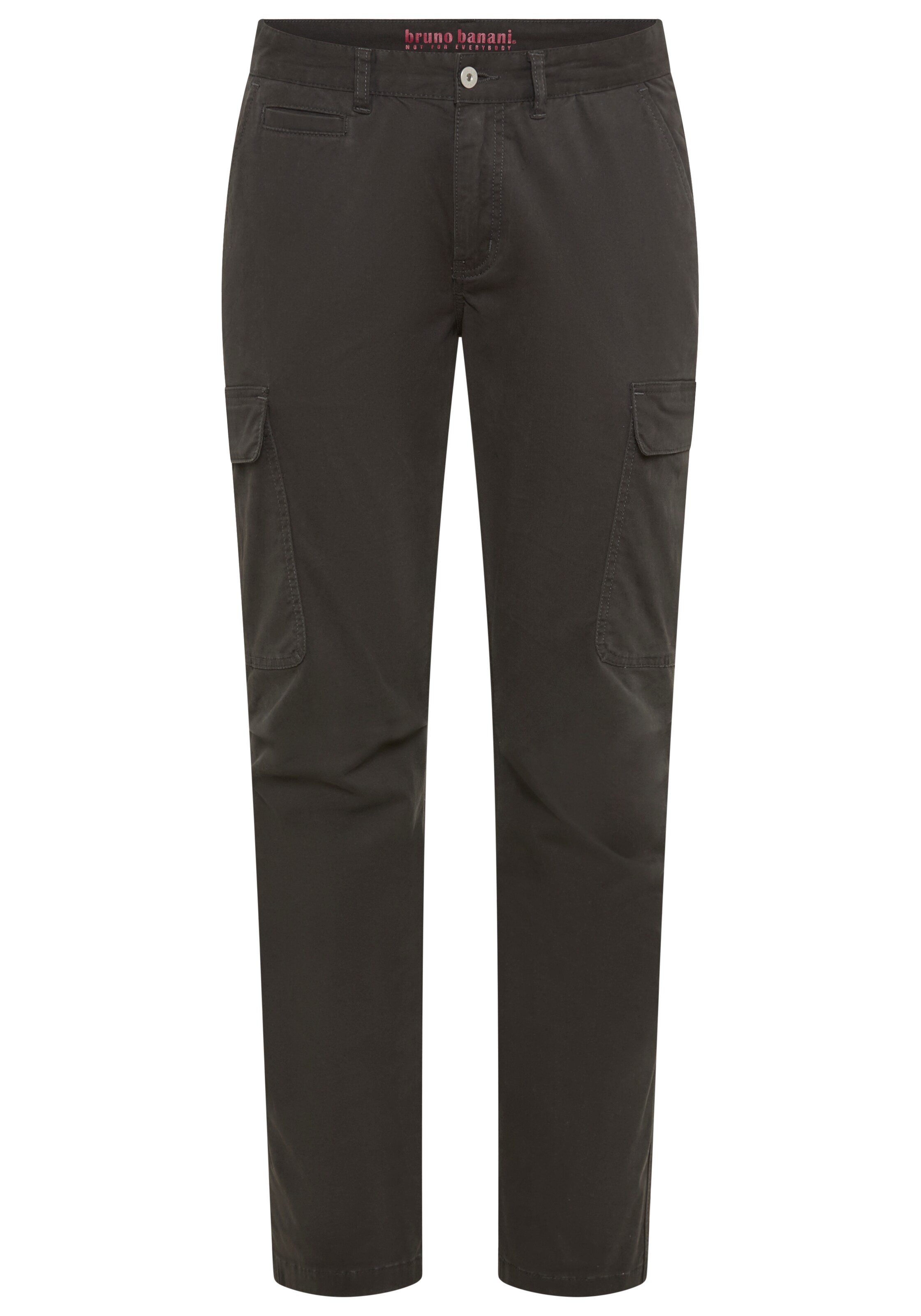 Bruno Banani LM Pants in Black: front