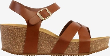 The Divine Factory Sandały 'Noga Ety Edge Ledersandalen mit Keilabsatz' w kolorze brązowy: przód
