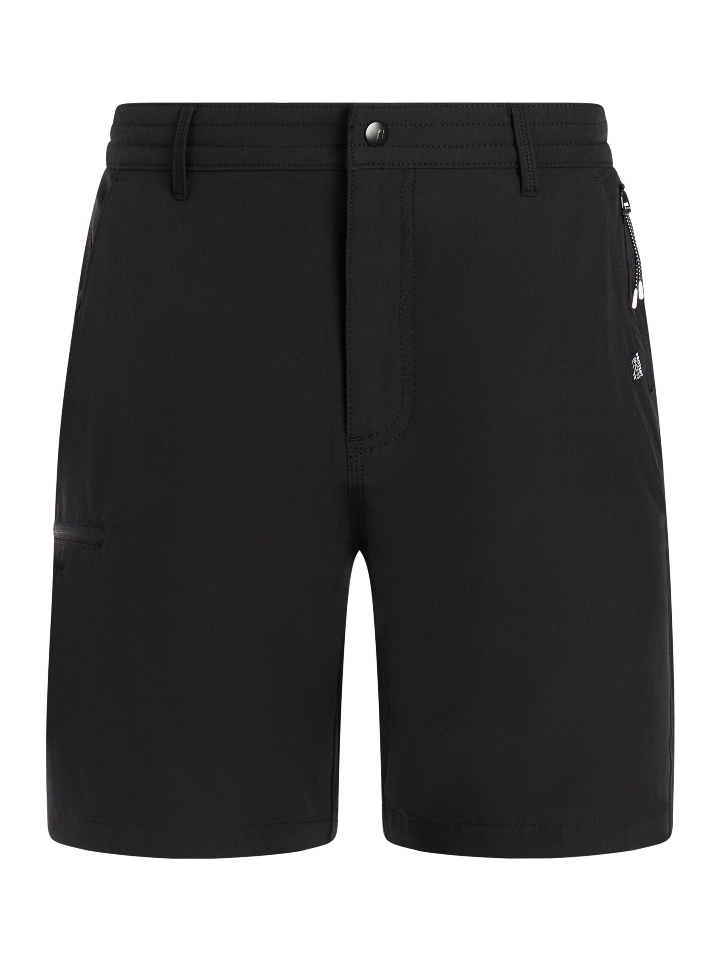 PROTEST Board Shorts 'PRTRadcot' in L/Regular in Black, Item view