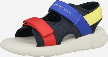 mėlyna TOMMY HILFIGER Atviri batai 'QUEST': priekis