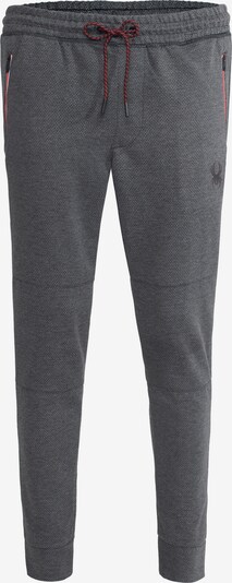 Spyder Sportske hlače u siva, Pregled proizvoda