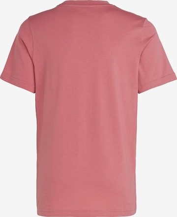 ADIDAS ORIGINALS T-Shirt 'Adicolor' in Pink