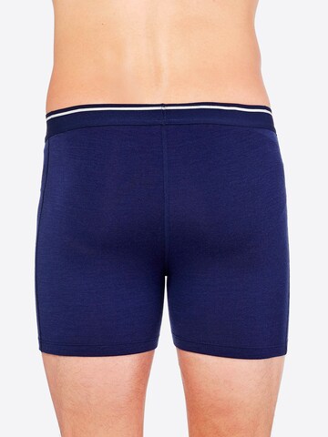 Pantaloncini intimi sportivi '150 Anatomica' di ICEBREAKER in blu