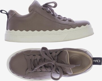Chloé Sneakers & Trainers in 35 in Brown: front