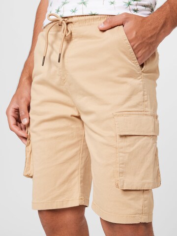 Denim Project Regular Cargo Pants in Brown