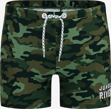 WE Fashion Swimming shorts in Green: front