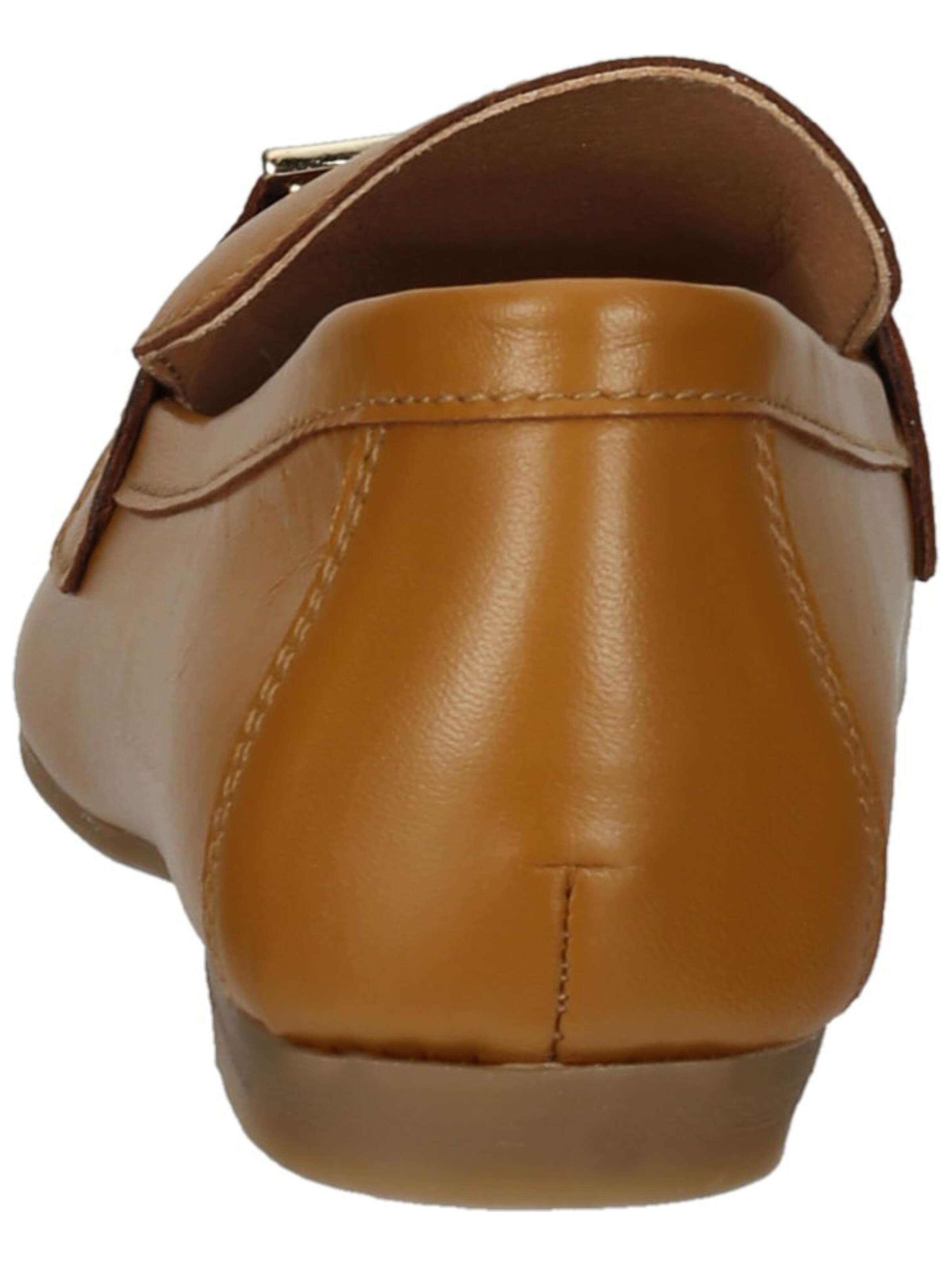 SCAPA Instappers in Bruin