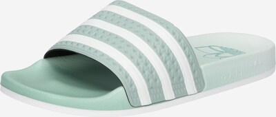 ADIDAS ORIGINALS Ādas čības 'Adilette' pasteļzaļš / balts, Preces skats