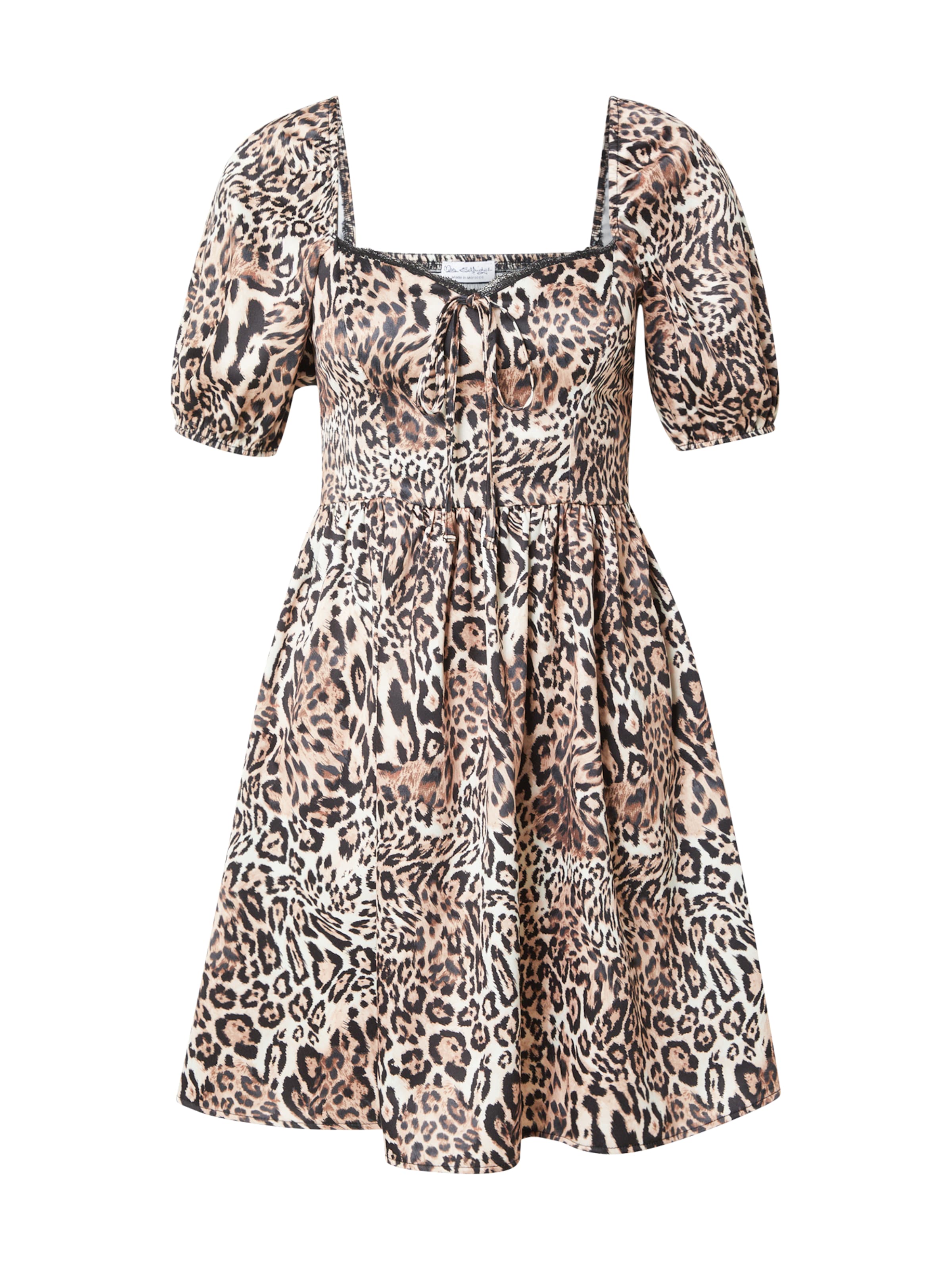 Miss Selfridge Kleit, värv pruun: eest vaates