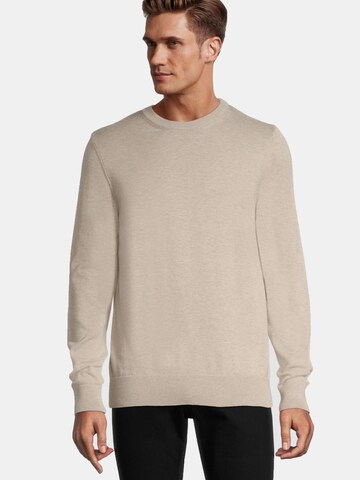 Steffen Klein Pullover in Beige: predná strana