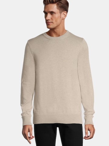 Pull-over Steffen Klein en beige : devant