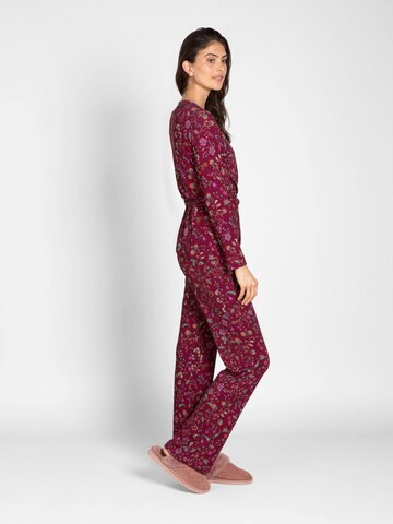 PIP STUDIO Regular Pants in Pink