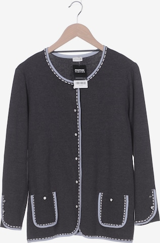 Atelier Goldner Schnitt Sweater & Cardigan in XL in Grey: front