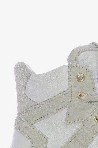GUESS Sneakers & Trainers in 40 in Beige