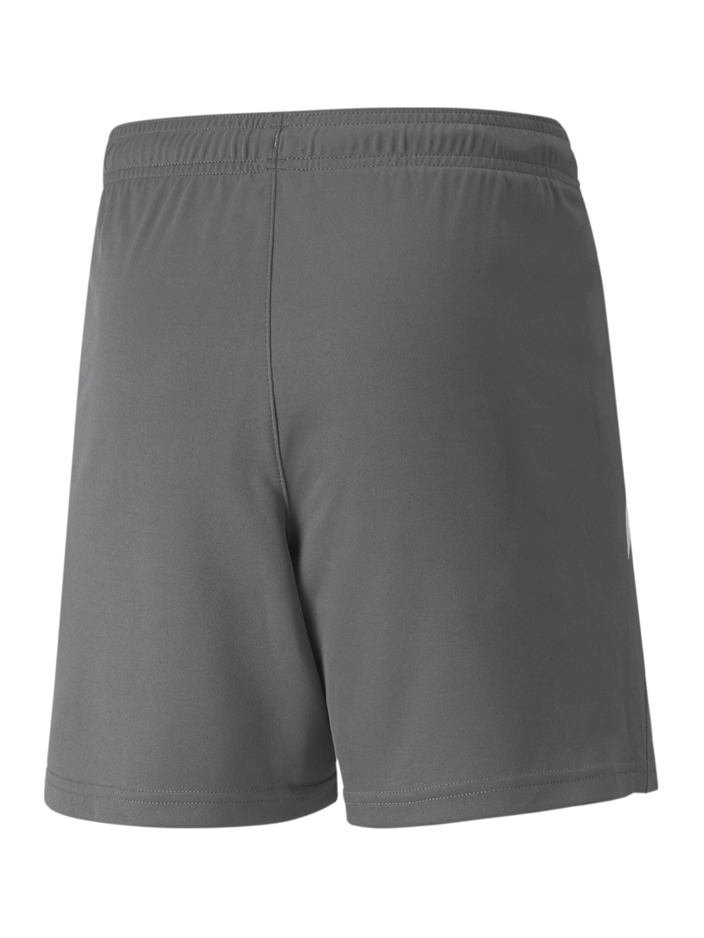 PUMA Regular Sports trousers 'TeamLiga' in Grey