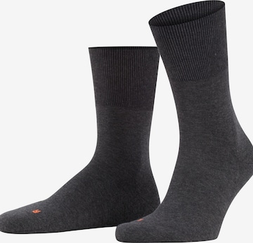 FALKE Socks 'Run' in Grey: front
