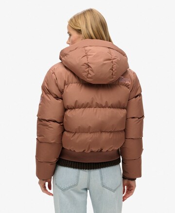 Superdry Tussenjas in Bruin