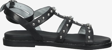 Nero Giardini Sandalen met riem in Zwart