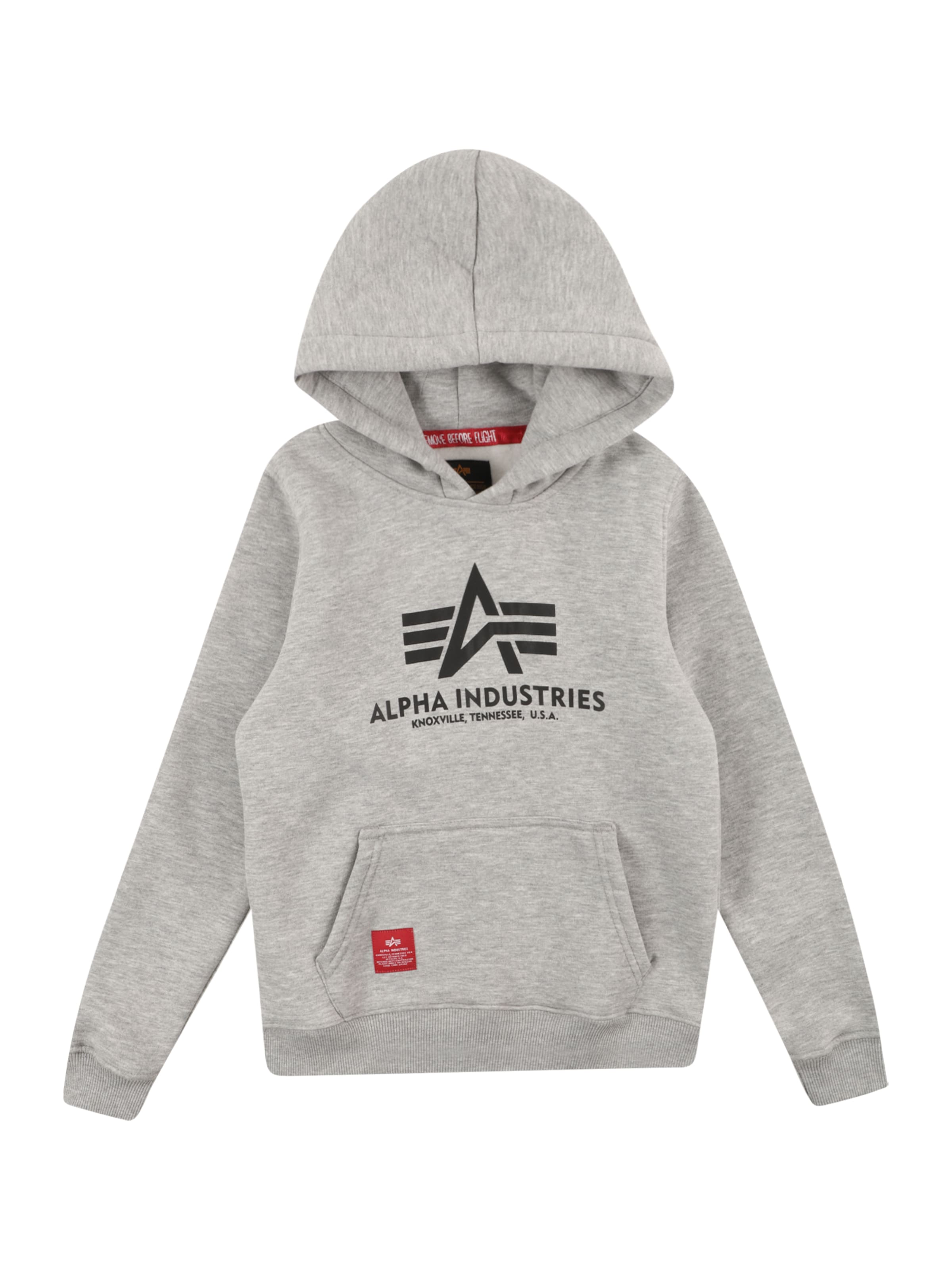 ALPHA INDUSTRIES Μπλούζα φούτερ σε γκρι: μπροστά