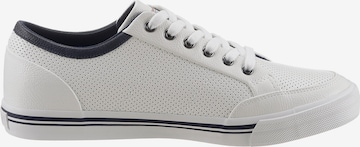 Baskets basses JOOP! en blanc