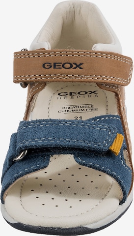 GEOX Sandale 'TAPUZ' in Blau