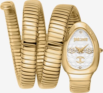 Just Cavalli Time Analog Watch in Gold: front