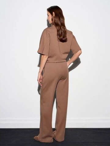 Dilvin Wide leg Pants in Brown
