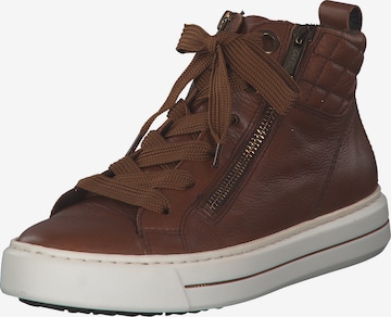 ARA High-Top Sneakers 'Portyard 47494' in Brown: front