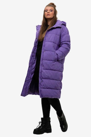 Studio Untold Winter Coat in Purple: front