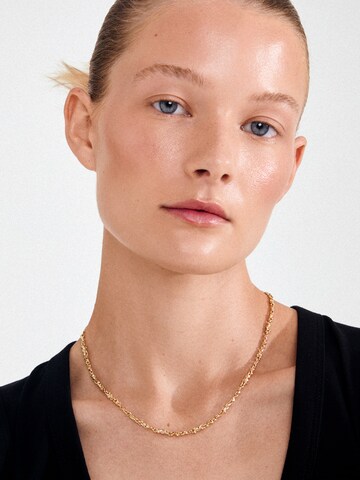 Pilgrim Αλυσίδα 'NOVA' σε χρυσό: μπροστά